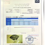 تست علوم پزشکی